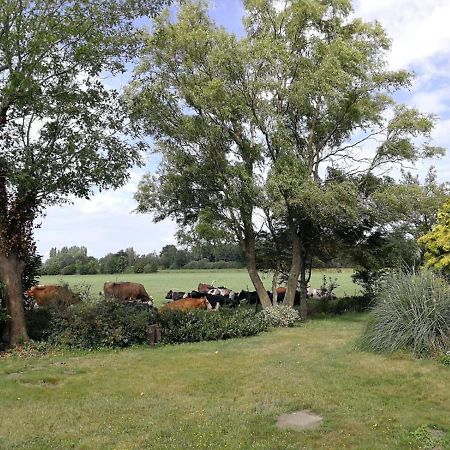 Vinkelaar 11 Villa Terschuur Eksteriør bilde