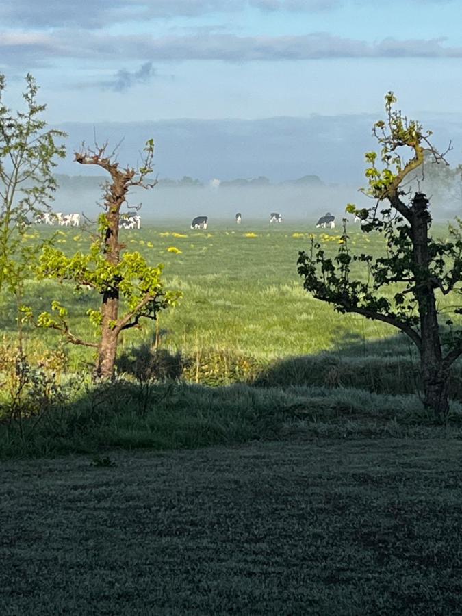 Vinkelaar 11 Villa Terschuur Eksteriør bilde