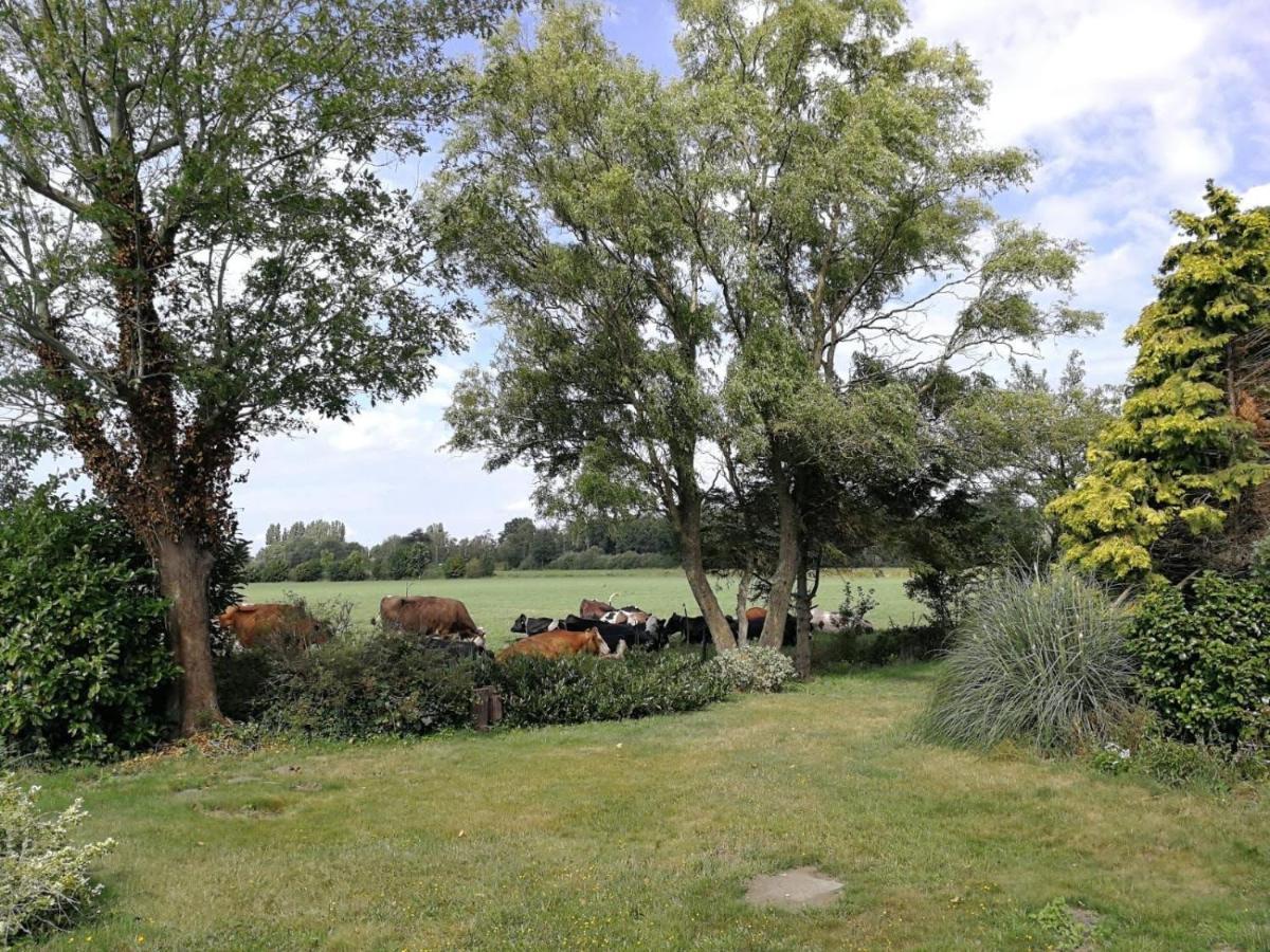 Vinkelaar 11 Villa Terschuur Eksteriør bilde
